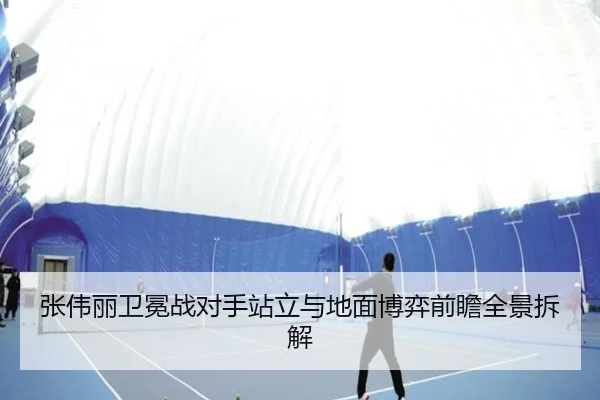 张伟丽卫冕战对手站立与地面博弈前瞻全景拆解